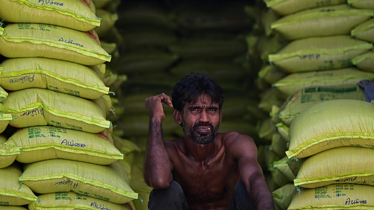 Global 2024 Staple Food Supplies Seen Strained By El Nino Curbs