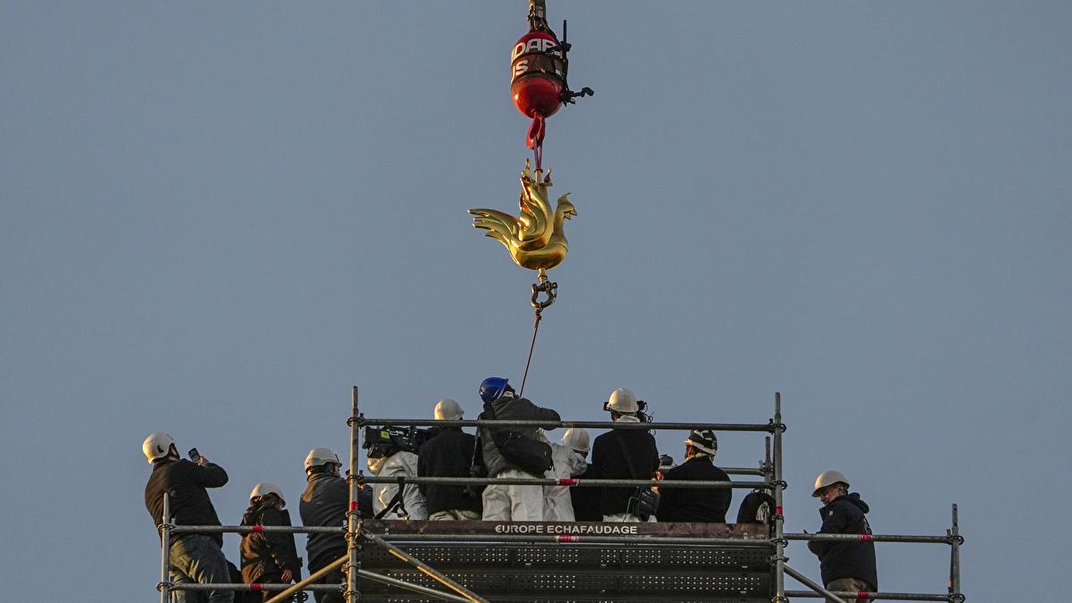 Notre Dame Rooster Back On Paris Cathedral S Spire