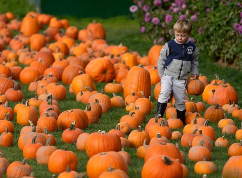 The world in photos: Oct 9–15