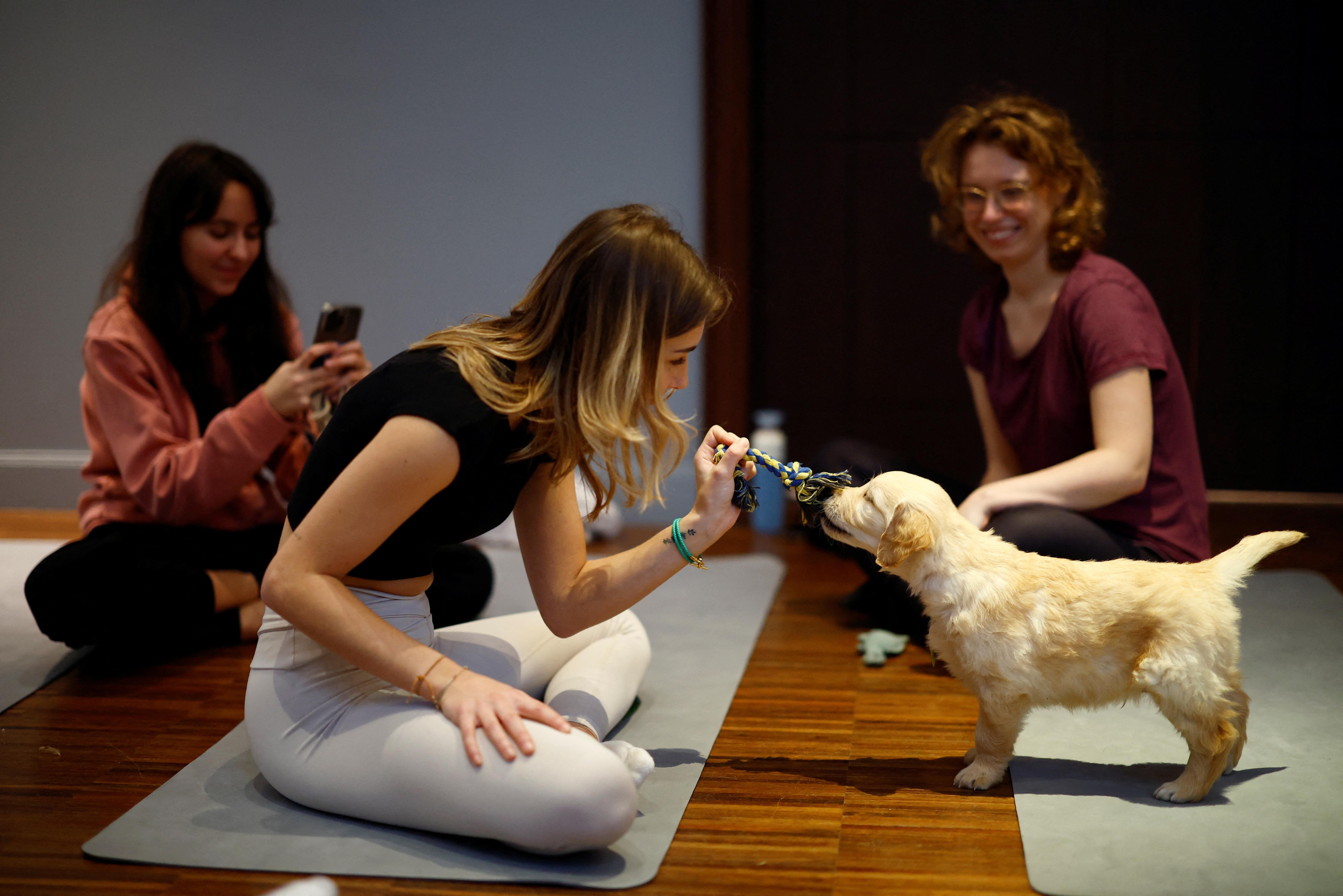 Parisians combine yoga with puppy cuddles for ultimate relaxation