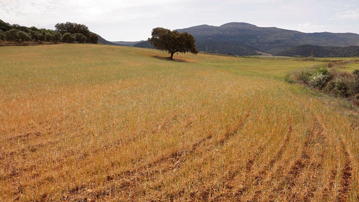 Spain Portugal Swelter As April Temperature Records Broken spain-portugal-swelter-as-april-temperature-records-broken