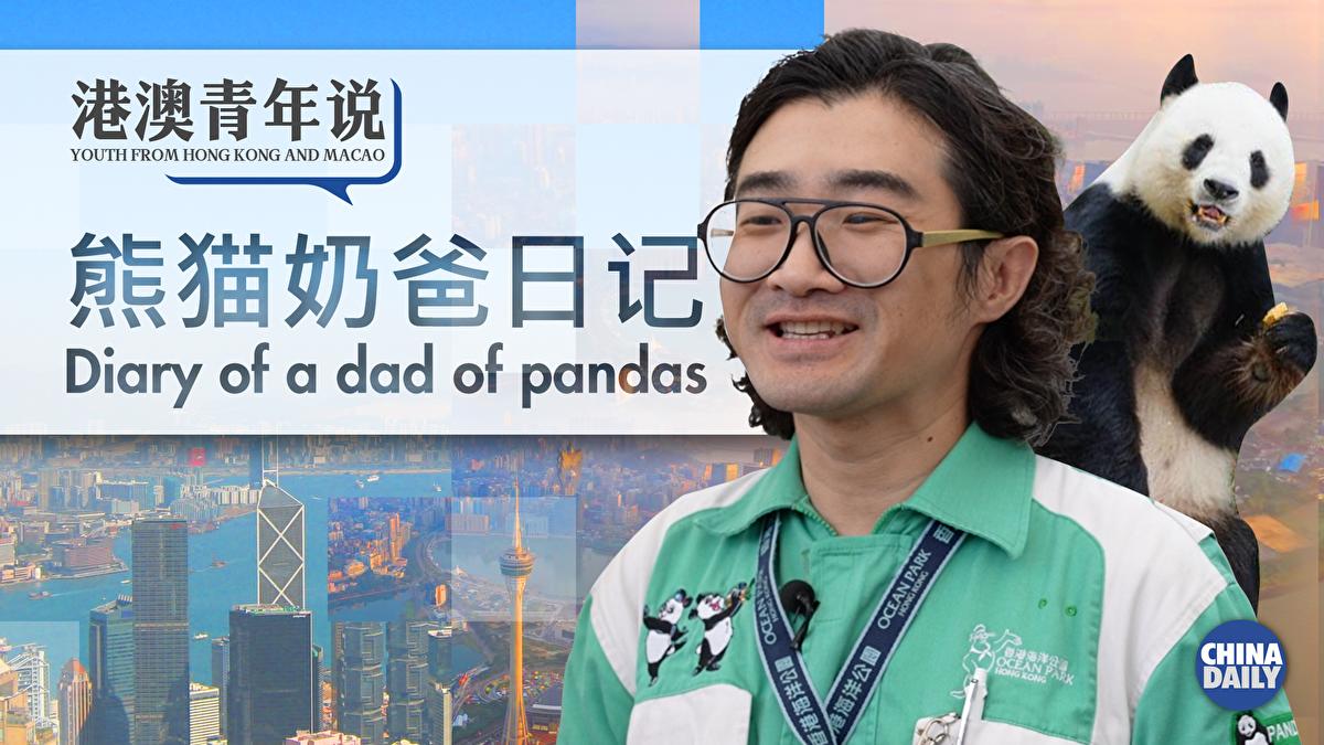 diary-of-a-dad-of-pandas