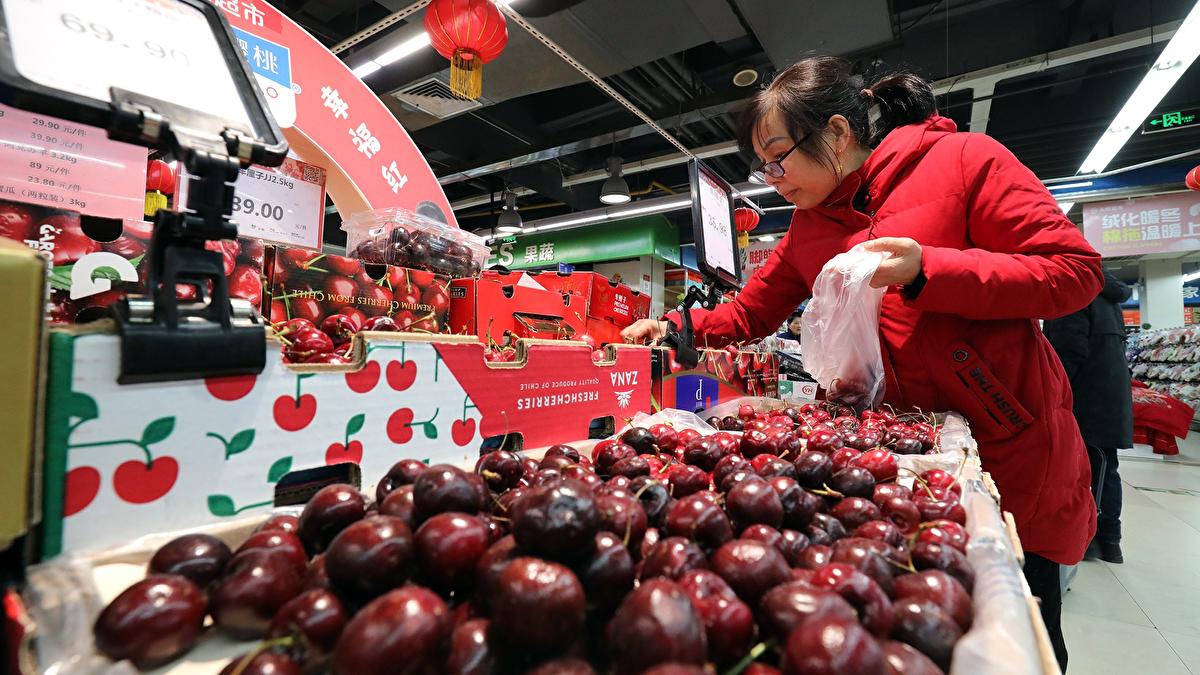 Chile sees increase in cherry exports to China