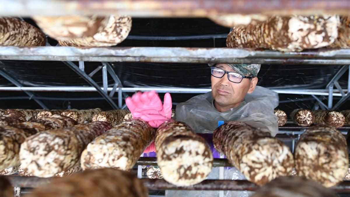 TV show captures lives relocated in poverty fight